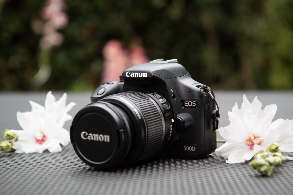 Galerie Miriam Holzmann Designs 2 Spiegelreflexkamera von Canon für die Galerie